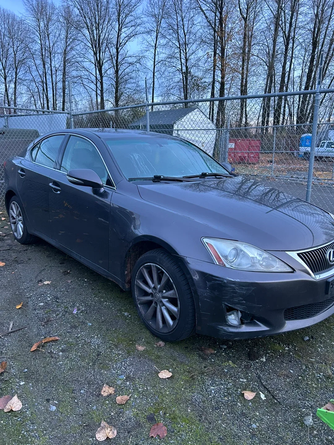 Lexus IS 250 Sedan - Great Condition! image indicator(2)