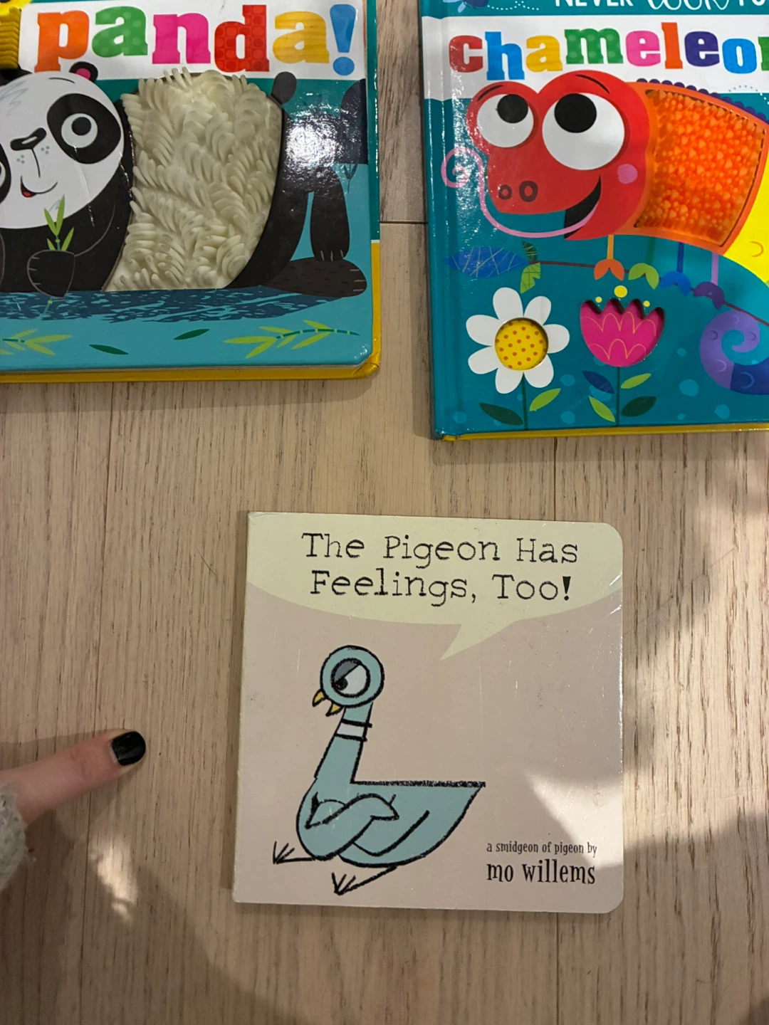 Kids Books: Antiracist Baby, Physics for Babies, Panda, Pigeon - photo 5