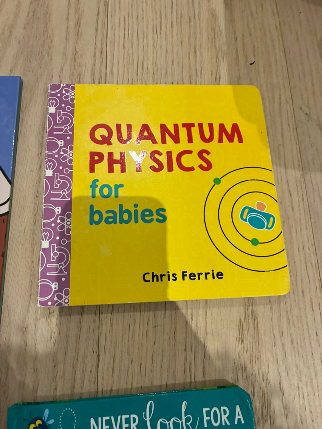 Kids Books: Antiracist Baby, Physics for Babies, Panda, Pigeon - photo 3
