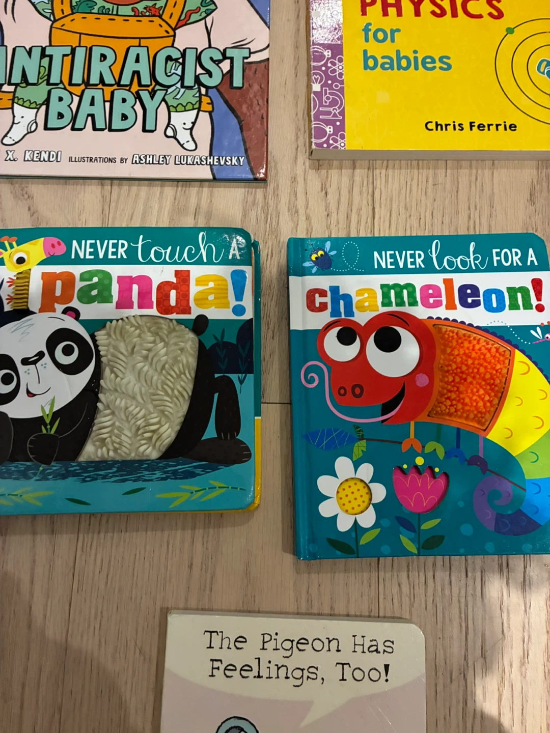 Kids Books: Antiracist Baby, Physics for Babies, Panda, Pigeon - photo 4