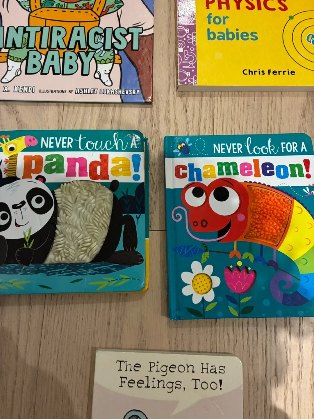 Kids Books: Antiracist Baby, Physics for Babies, Panda, Pigeon image indicator(4)