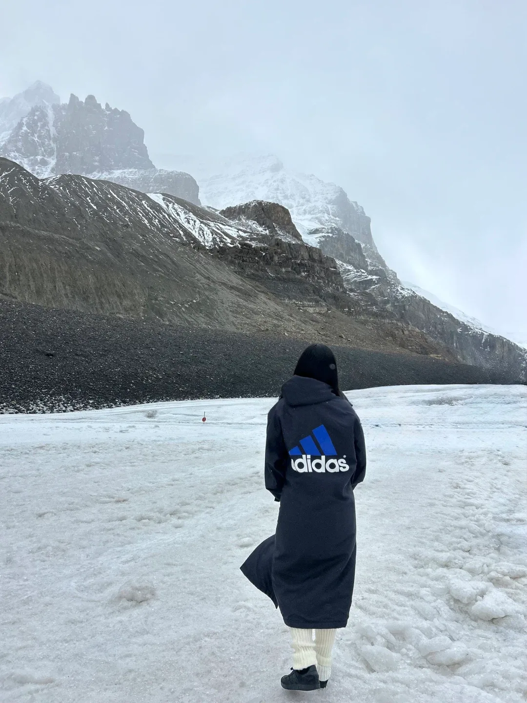 Adidas Black Jacket with Blue Fleece Lining image indicator(5)