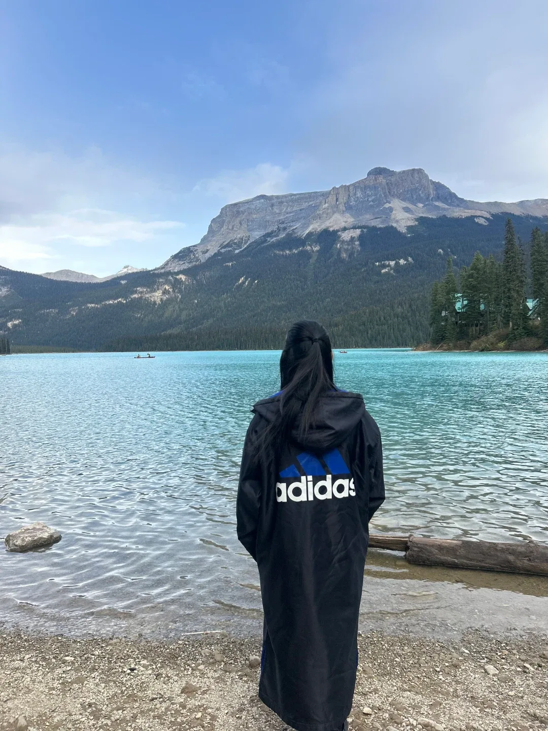 Adidas Black Jacket with Blue Fleece Lining