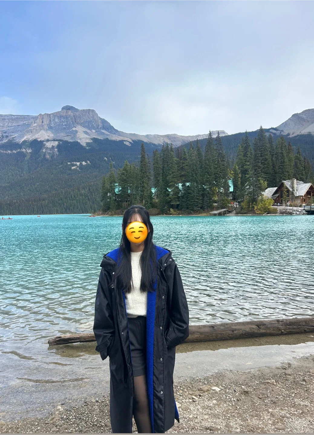 Adidas Black Jacket with Blue Fleece Lining image indicator(4)