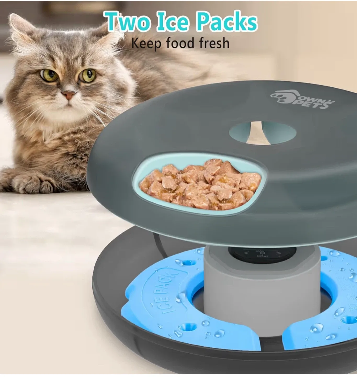 Pet automatic feeder - cat - dog - dry / wet food - 6-Meal
