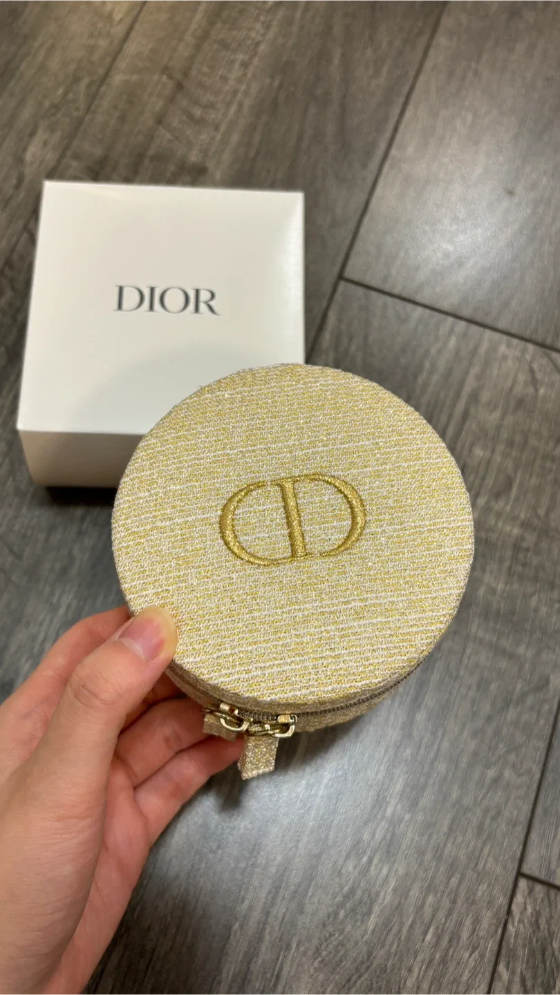 Dior Bag Pouch