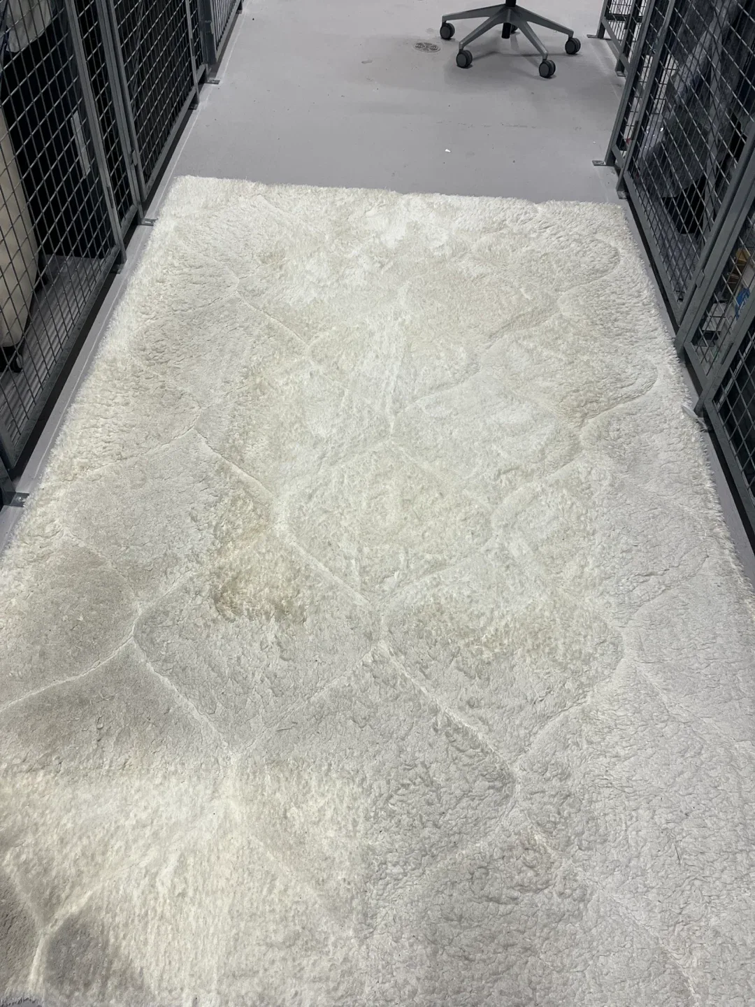 Mellow Ivory Rug 8' x 8' image indicator(9)