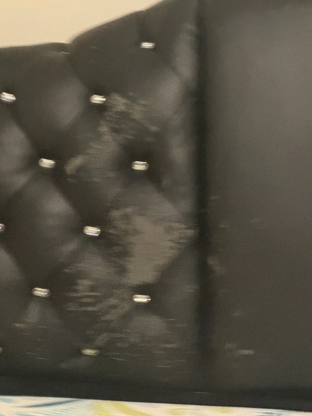 Black Tufted Bed Frame (Queen) image indicator(4)