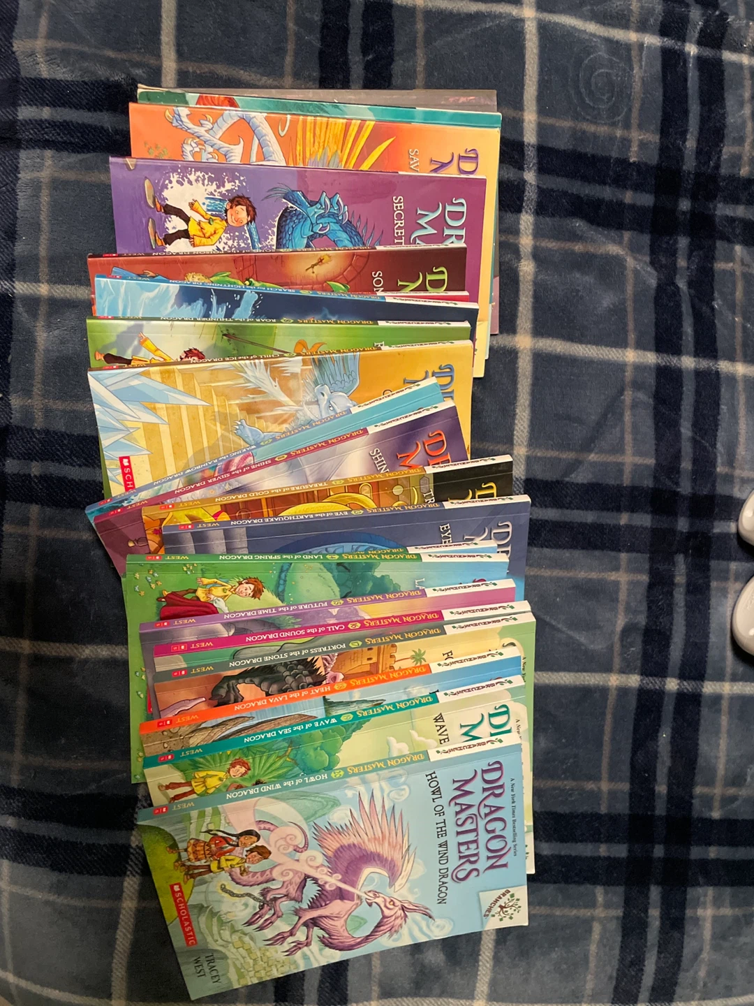 Dragon Masters Book Set - 20 Books - photo 2