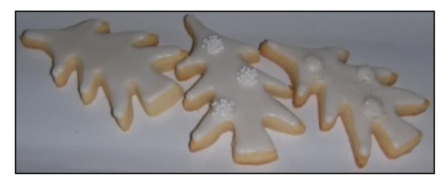 Custom Decorated Cookies image indicator(7)