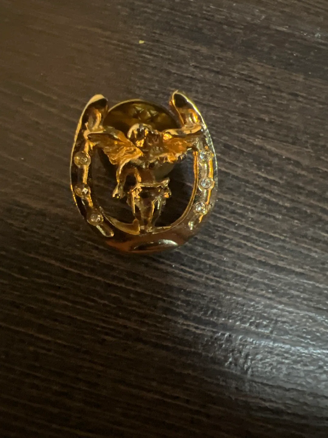 Gold Horseshoe Pin