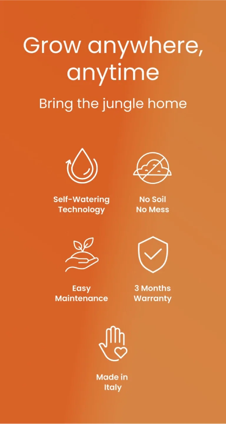 Terracotta Trellis Pot image indicator(7)