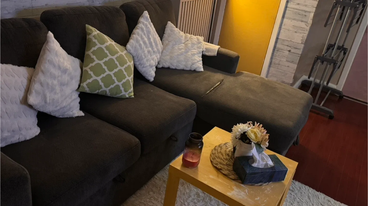 Grey Sectional Sofa/bed with Storage Ottoman image indicator(2)