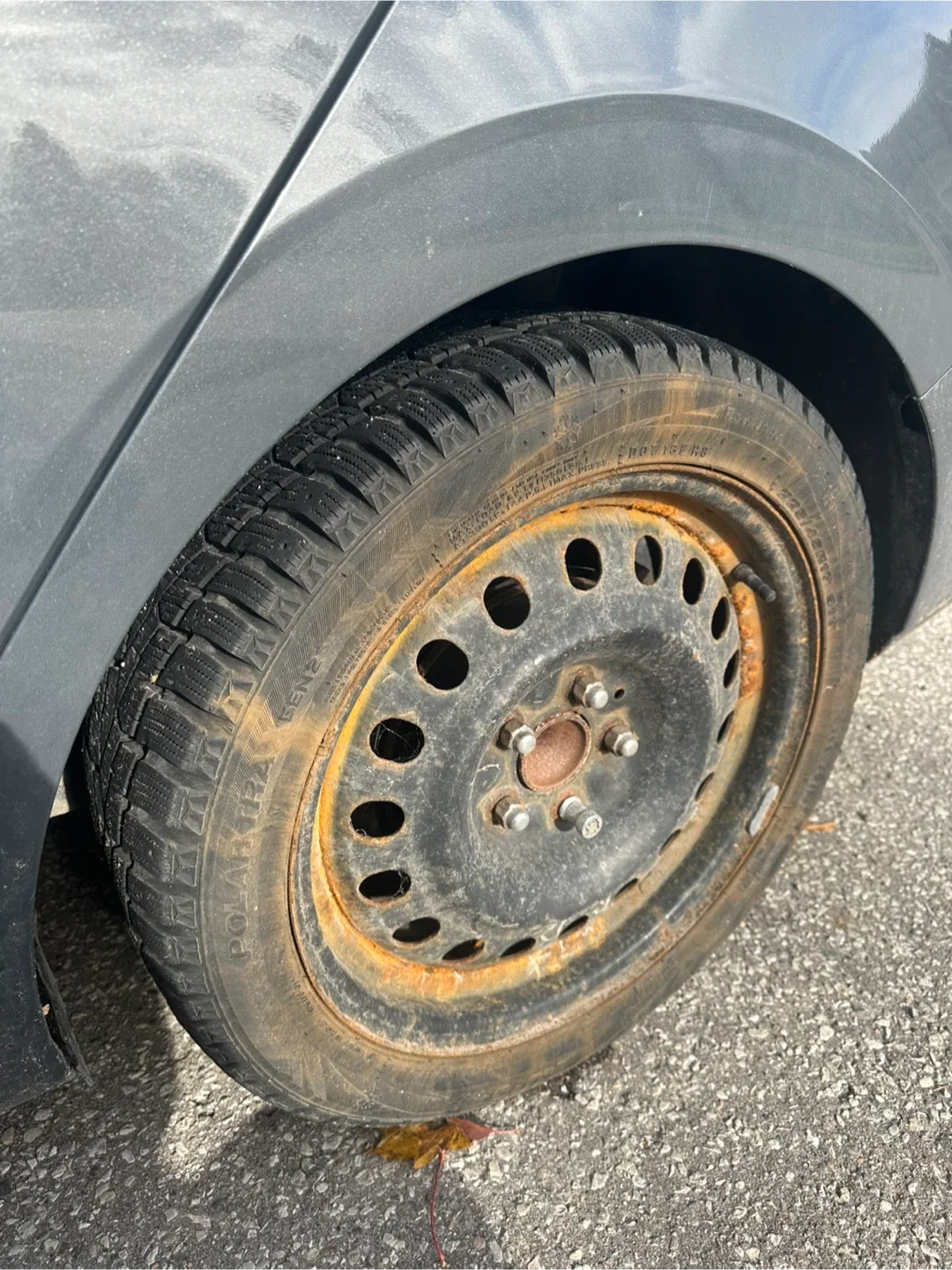 Polar Trax 225/45R17 Winter Tire image indicator(3)