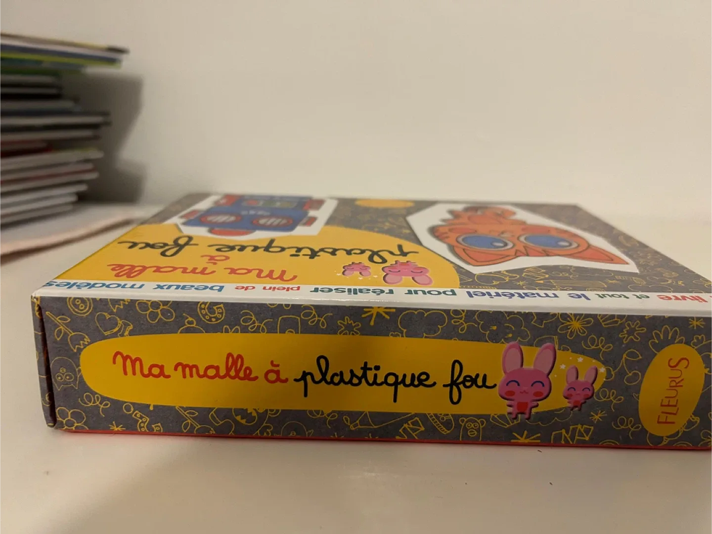 Ma malle à plastique fou - Fleurys image indicator(5)