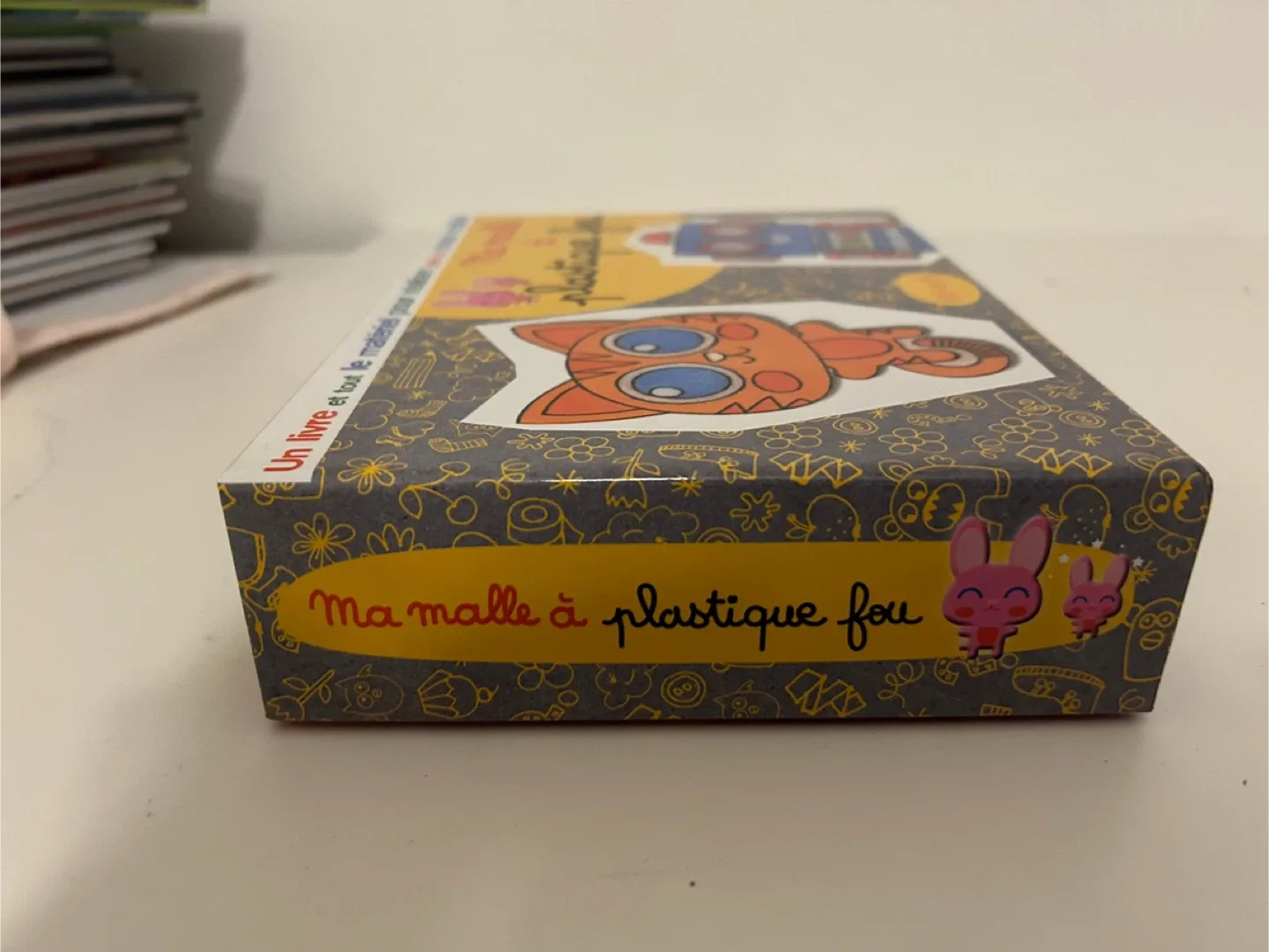 Ma malle à plastique fou - Fleurys image indicator(2)