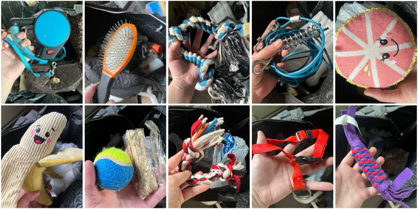 FREE Used/Old Dog Supplies