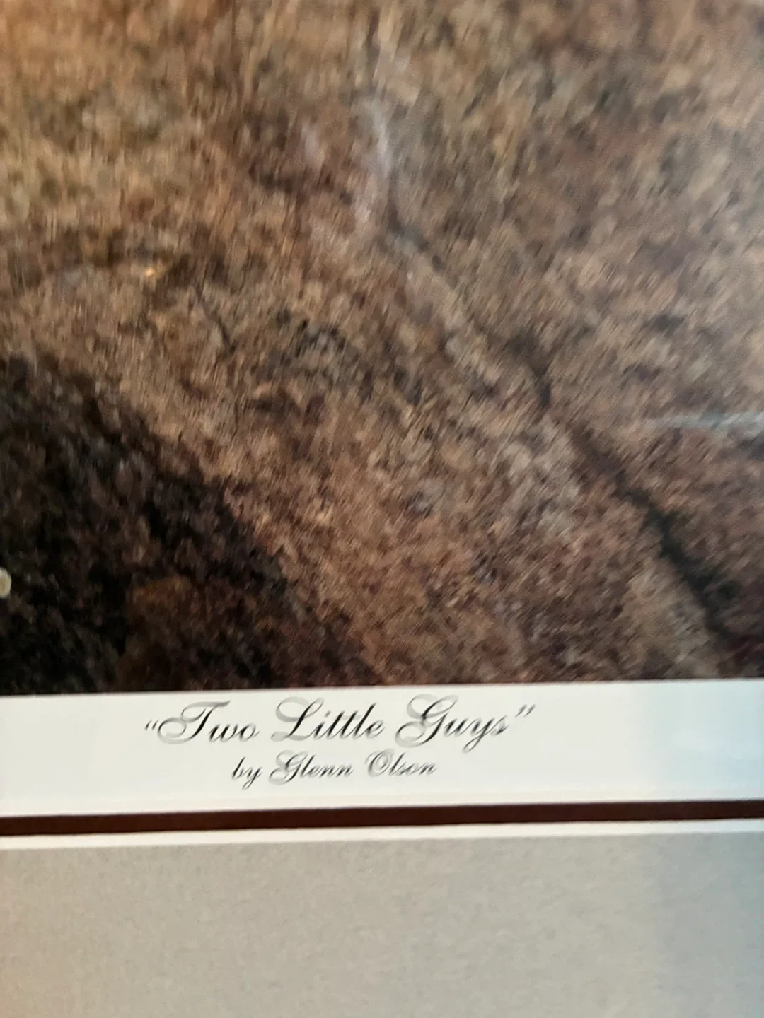 Framed Glenn Olson Print - "Two Little Guys" image indicator(3)