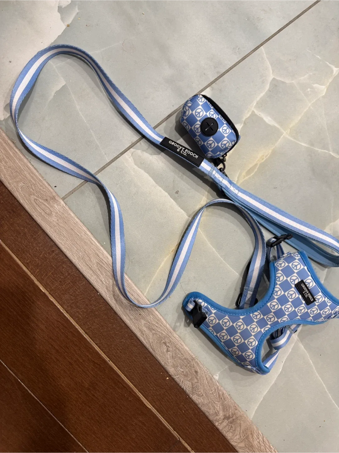 Groovy Pooch Dog Harness & Leash Set
