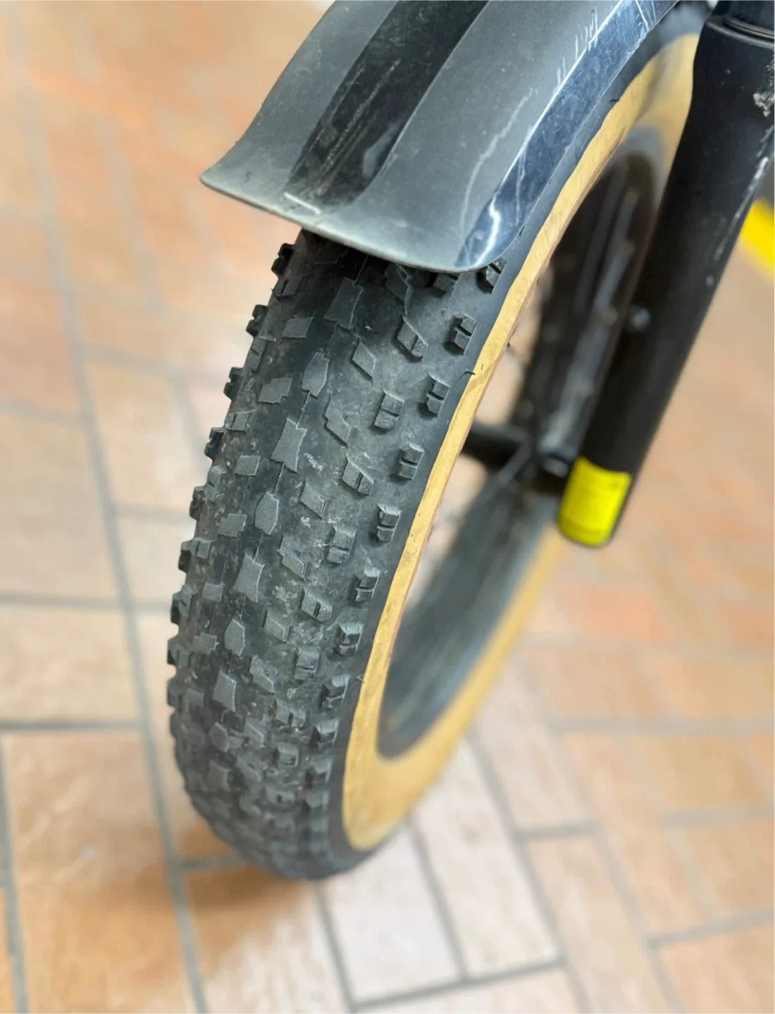 Euybike Electric Bike