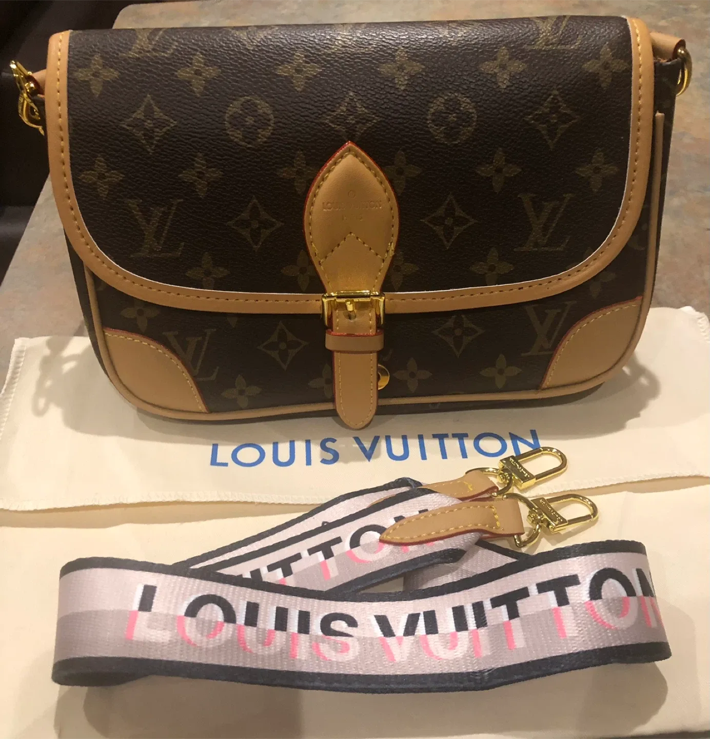 Louis Vuitton Purse New