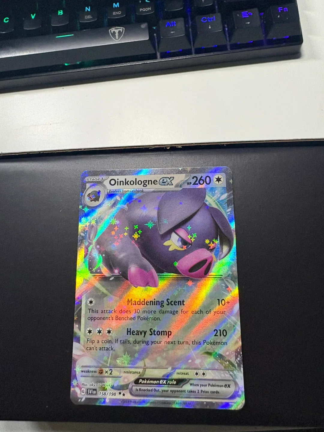 Oinkologne EX Pokemon Card