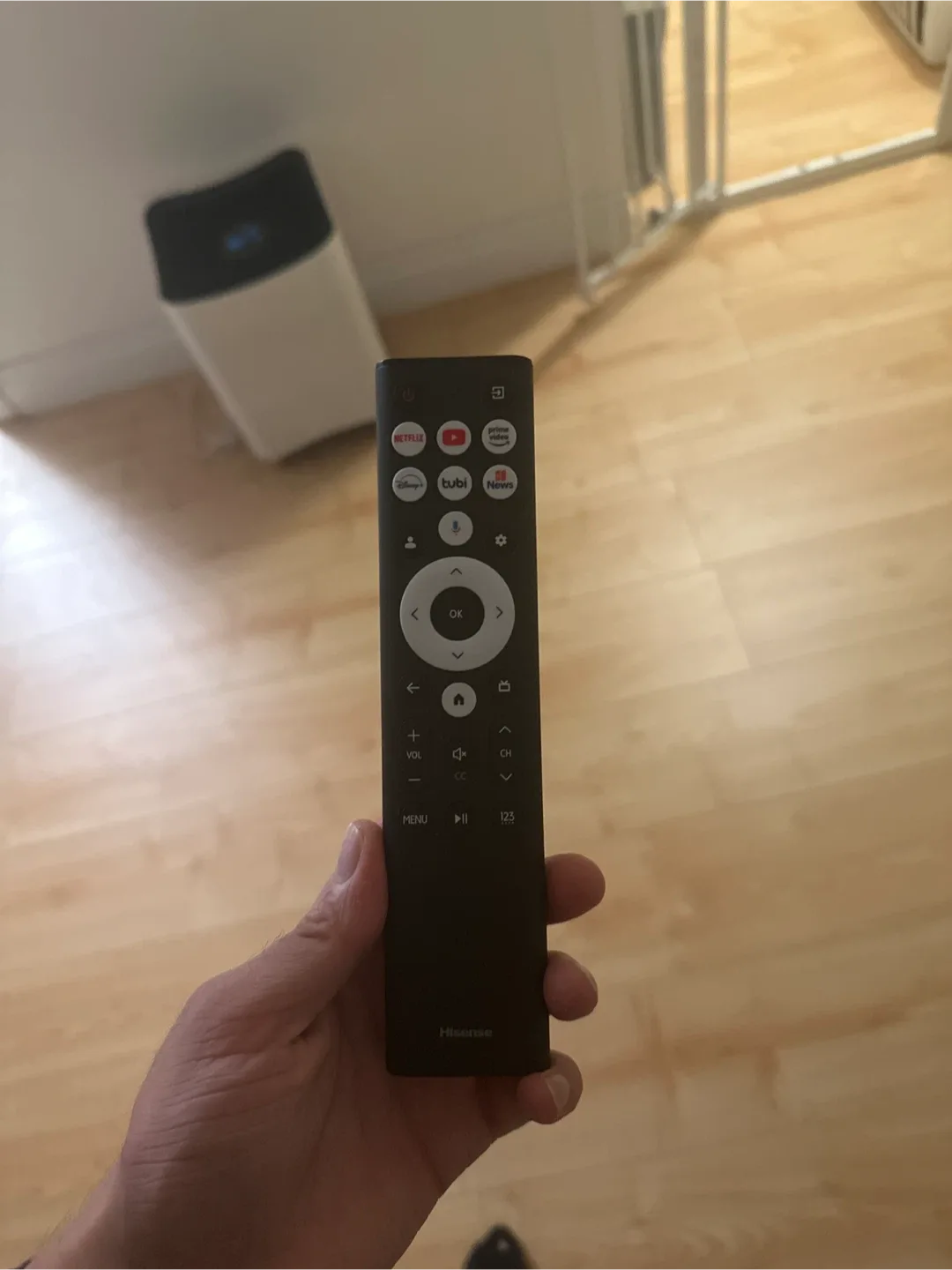 Hisense TV Remote