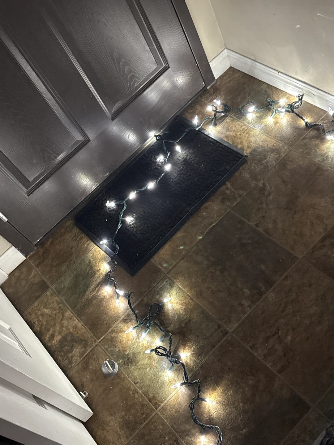 String of Christmas Lights - photo 3