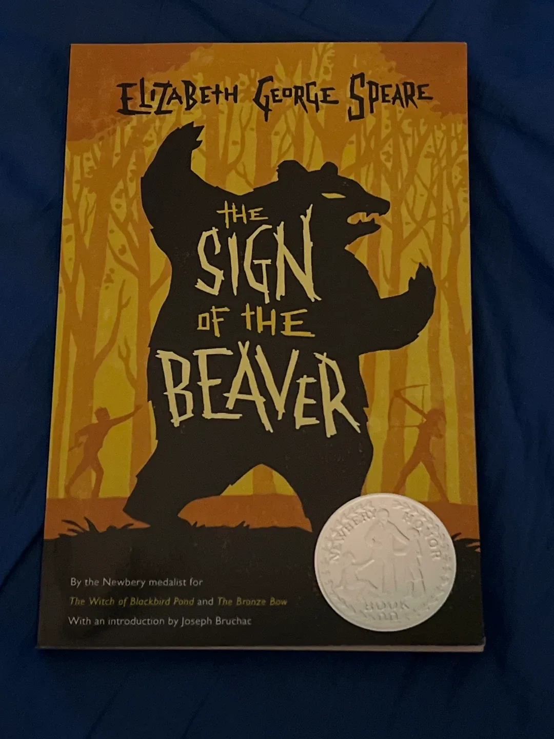 The Sign of the Beaver by Elizabeth George Speare