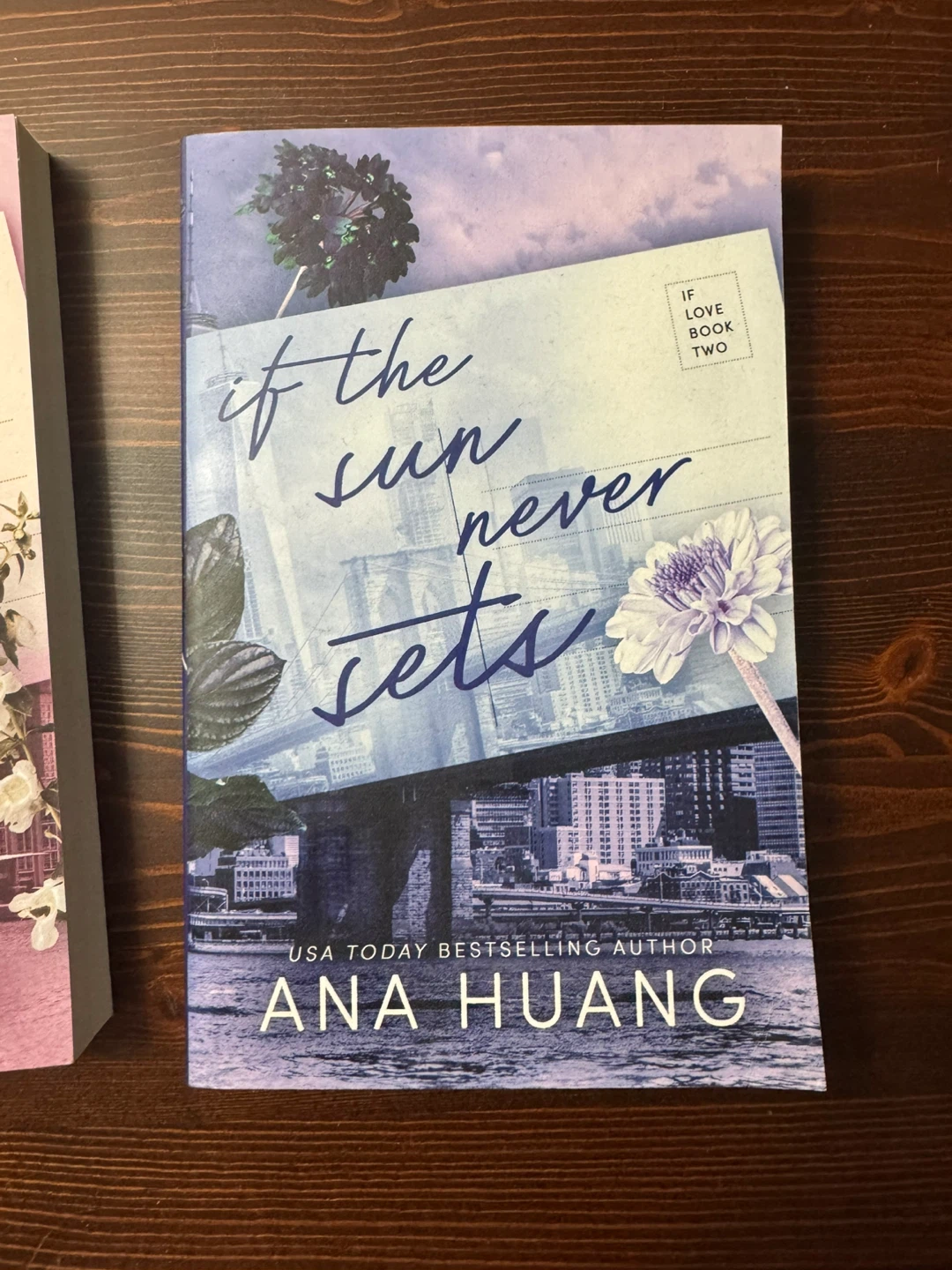 If We Ever Meet Again & If The Sun Never Sets by Ana Huang - photo 3