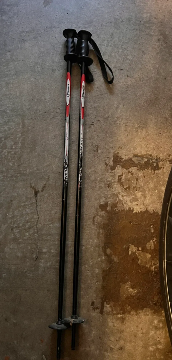 Tyrolia Ski Poles