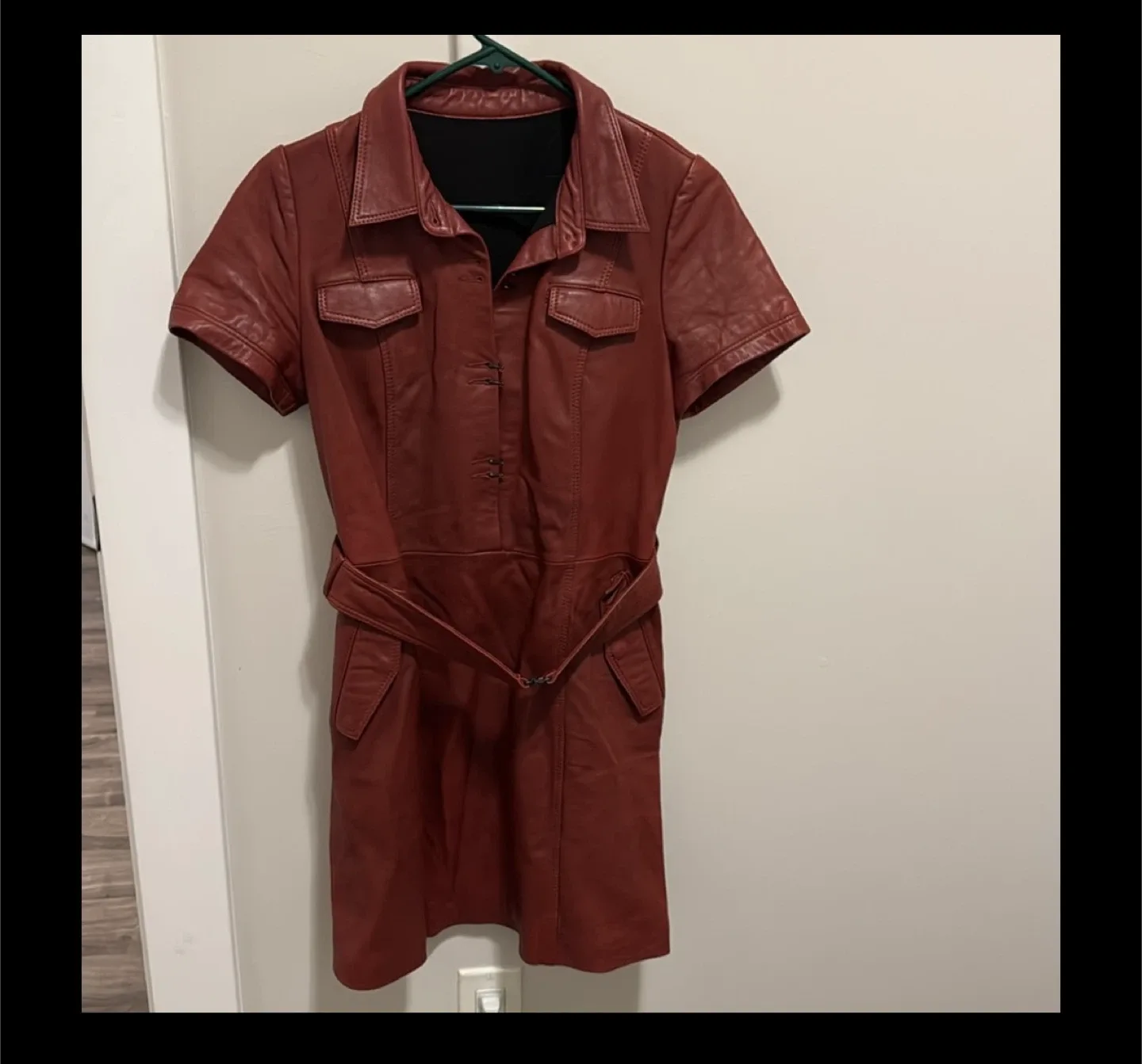 lambskin brown short sleeve shirt dress - sz large (fits size 4 image indicator(4)