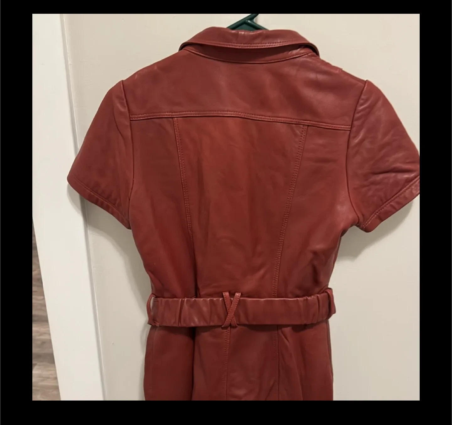 lambskin brown short sleeve shirt dress - sz large (fits size 4 image indicator(5)