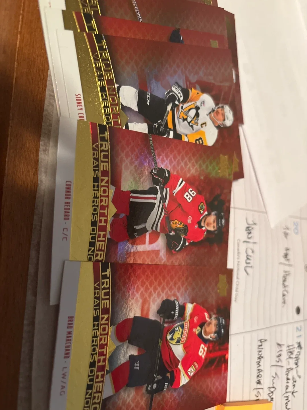 Hockey Cards - Upper Deck Co-Stars & True North Heros