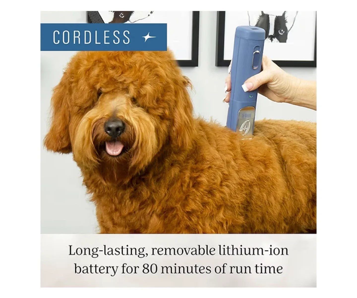 Oster Turbo A5 Cordless Pet Clipper image indicator(2)