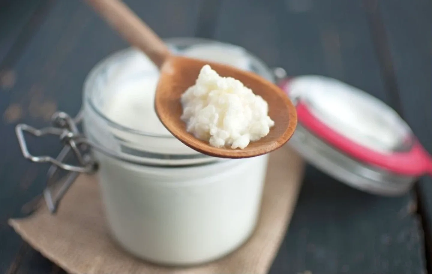 Milk Kefir Grains, spoon