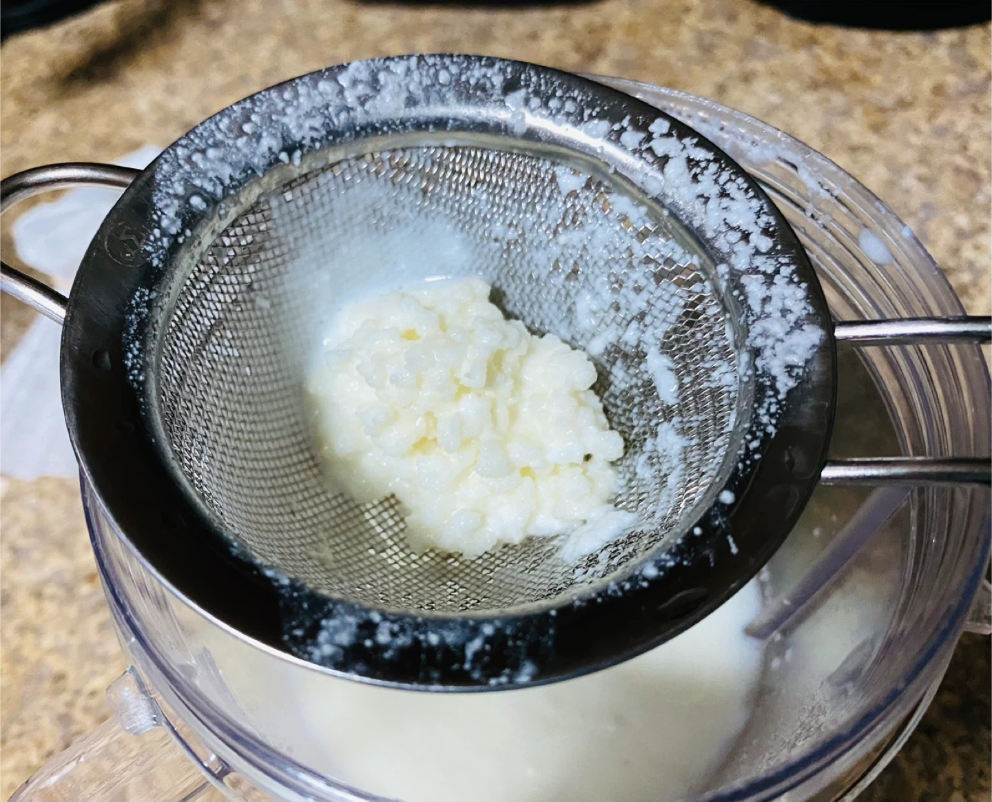 Milk Kefir Grains, spoon - photo 3