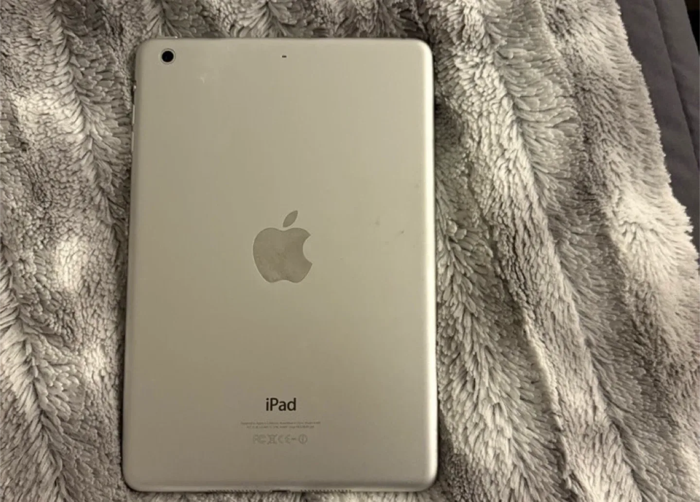 Apple iPad