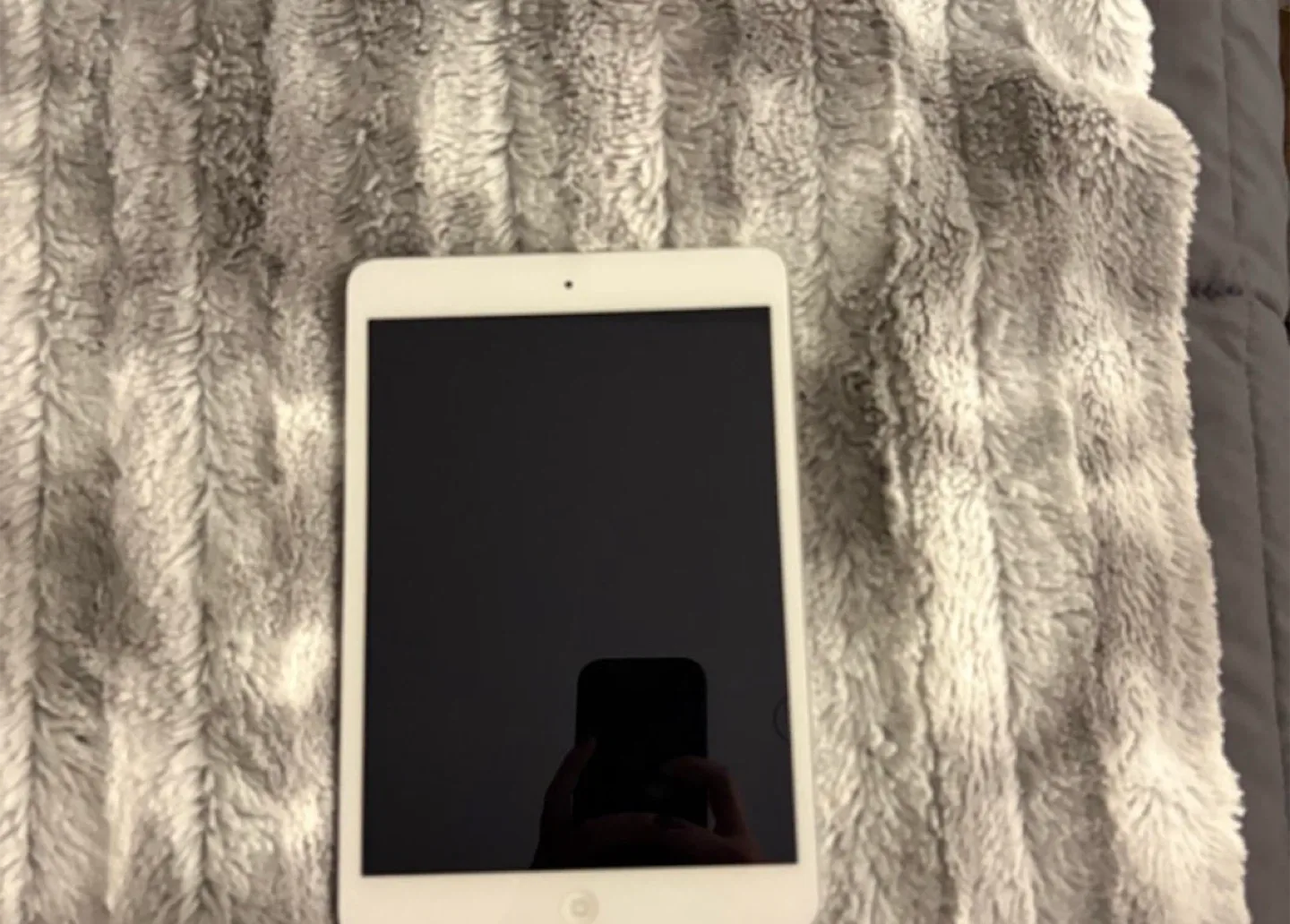 Apple iPad image indicator(2)