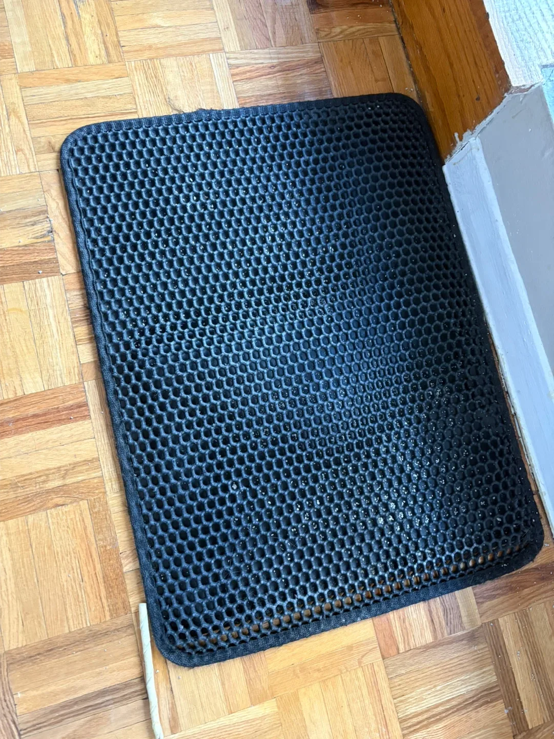 FREE Cat Litter Box & Carrier - MUST GO ASAP image indicator(3)