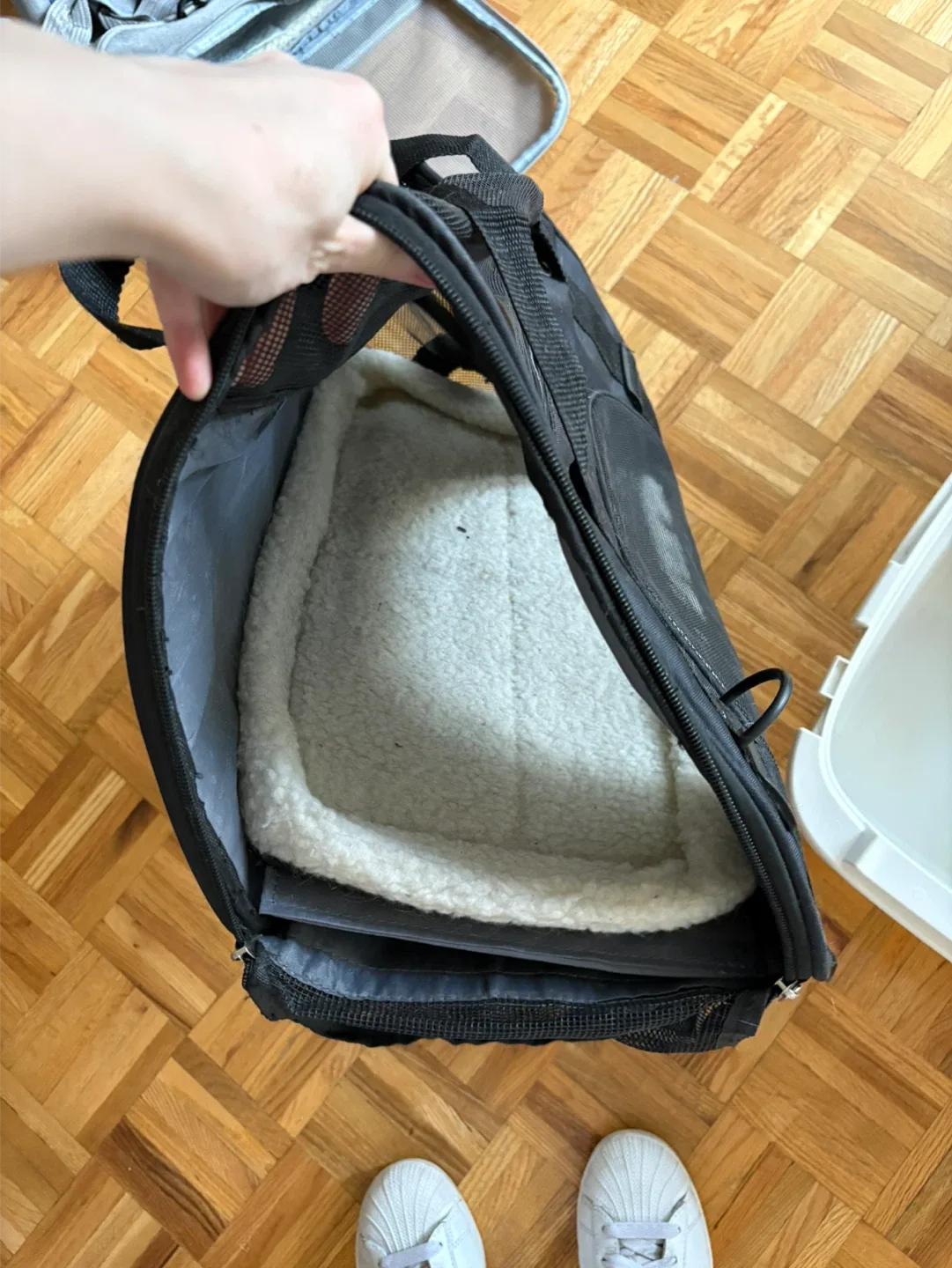 FREE Cat Litter Box & Carrier - MUST GO ASAP image indicator(4)