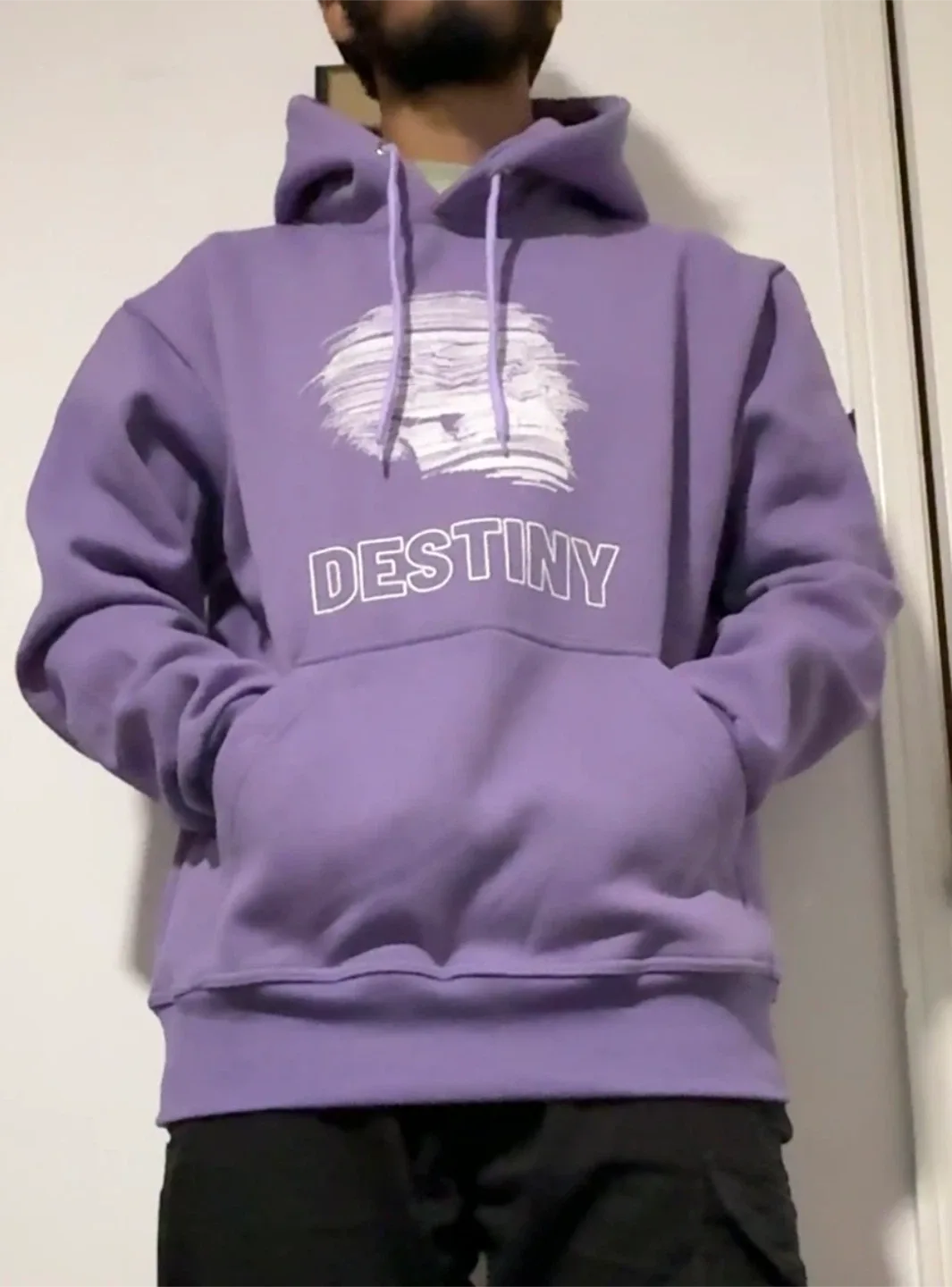 Destiny Purple Hoodie