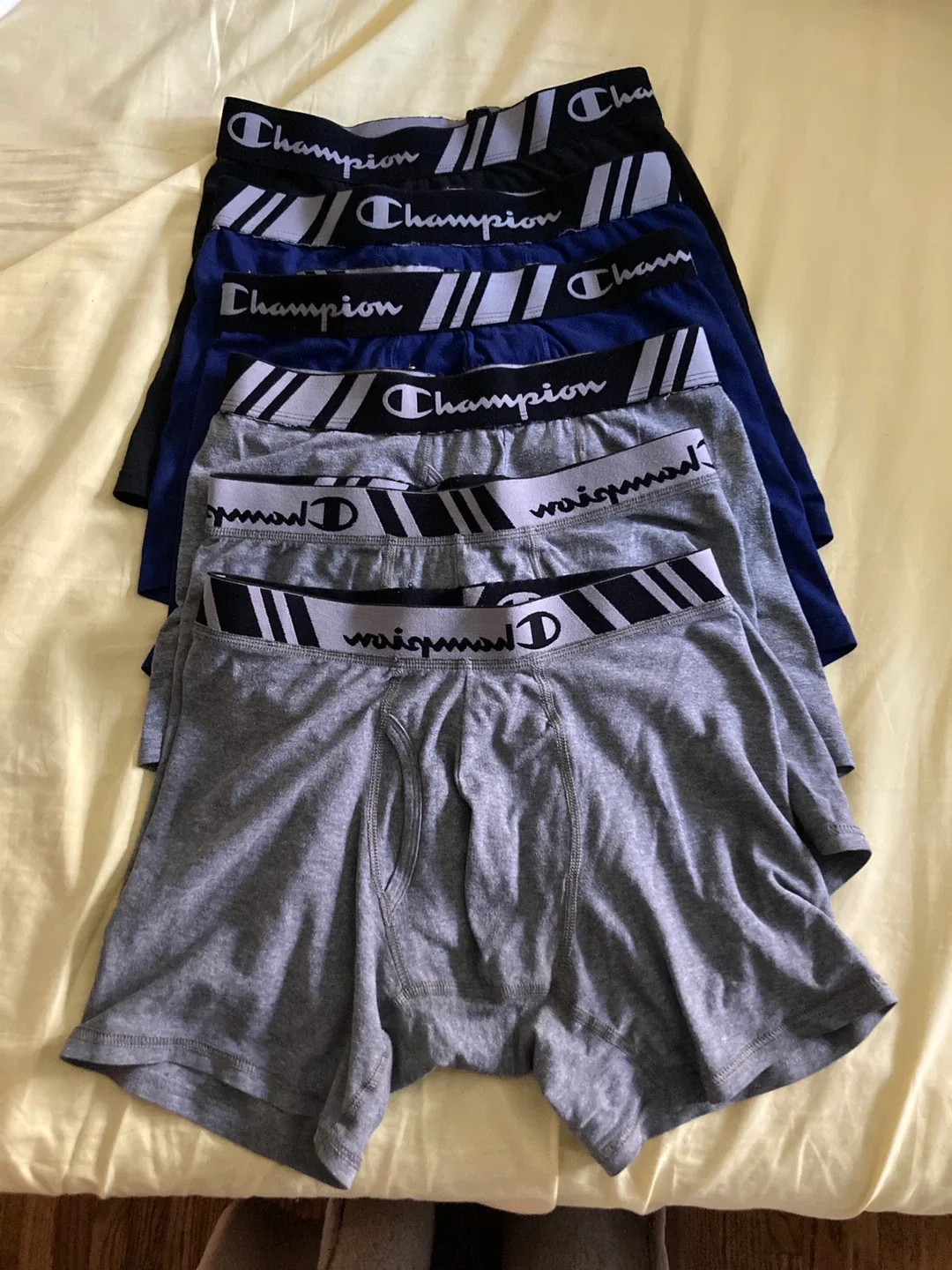 Champion Underwear (Size small)