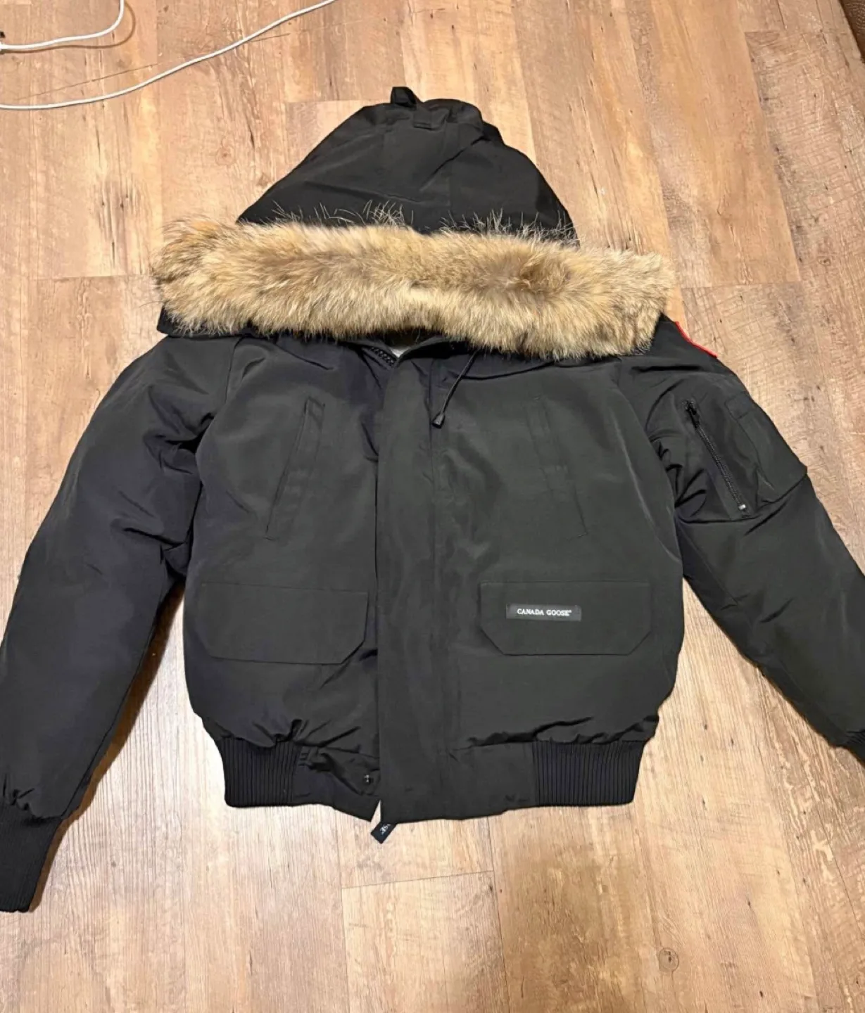 Canada goose chilliwack bomber image indicator(2)