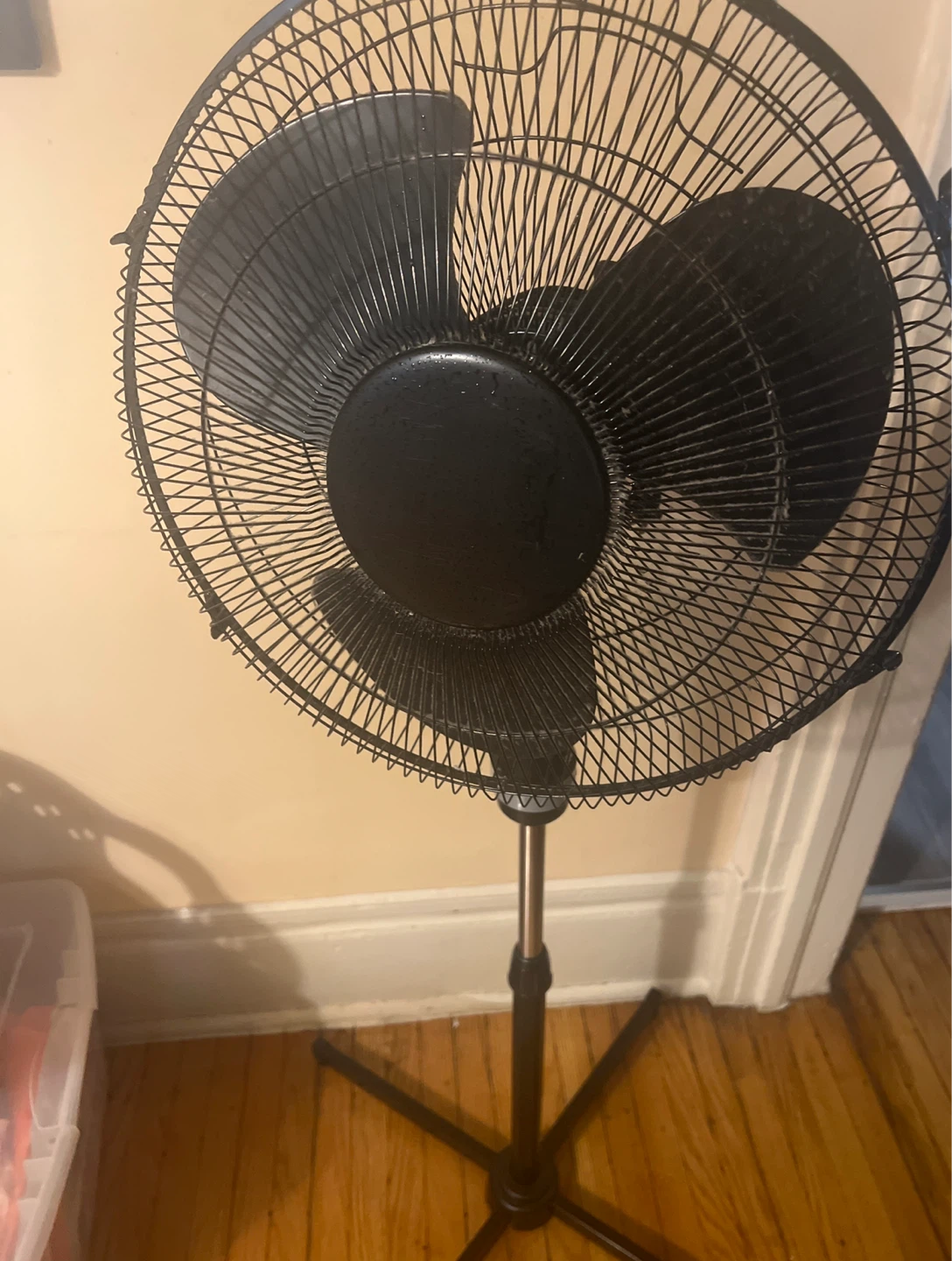 Black Standing Fan