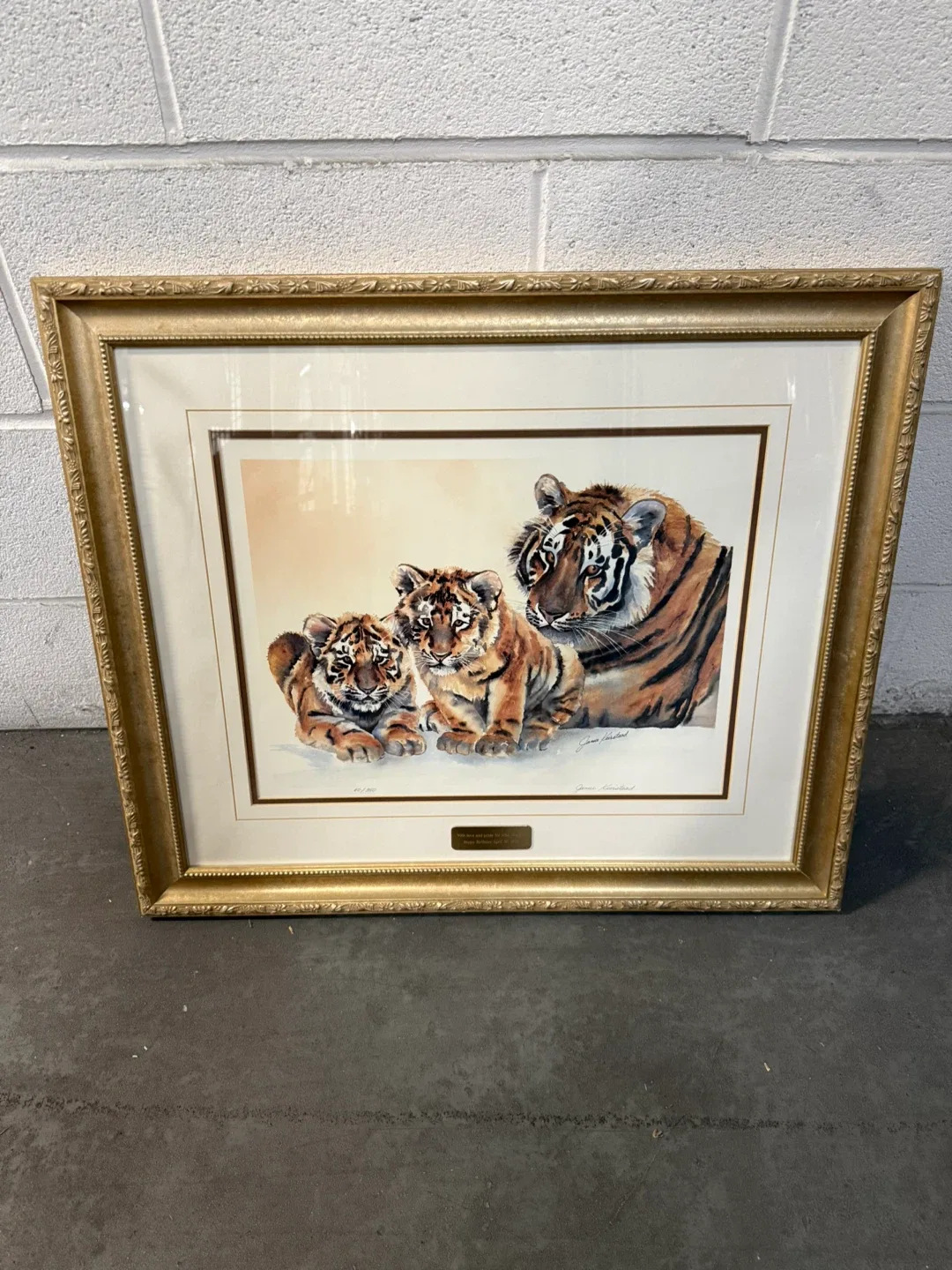 Framed Tiger Print by Simon Combes