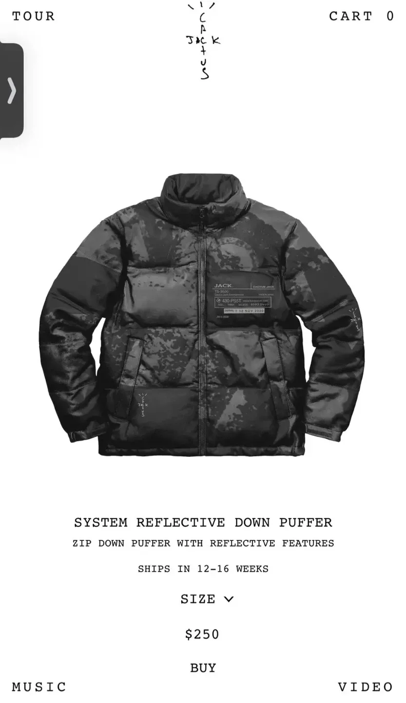 Cactus Jack System Reflective Down Puffer - XL