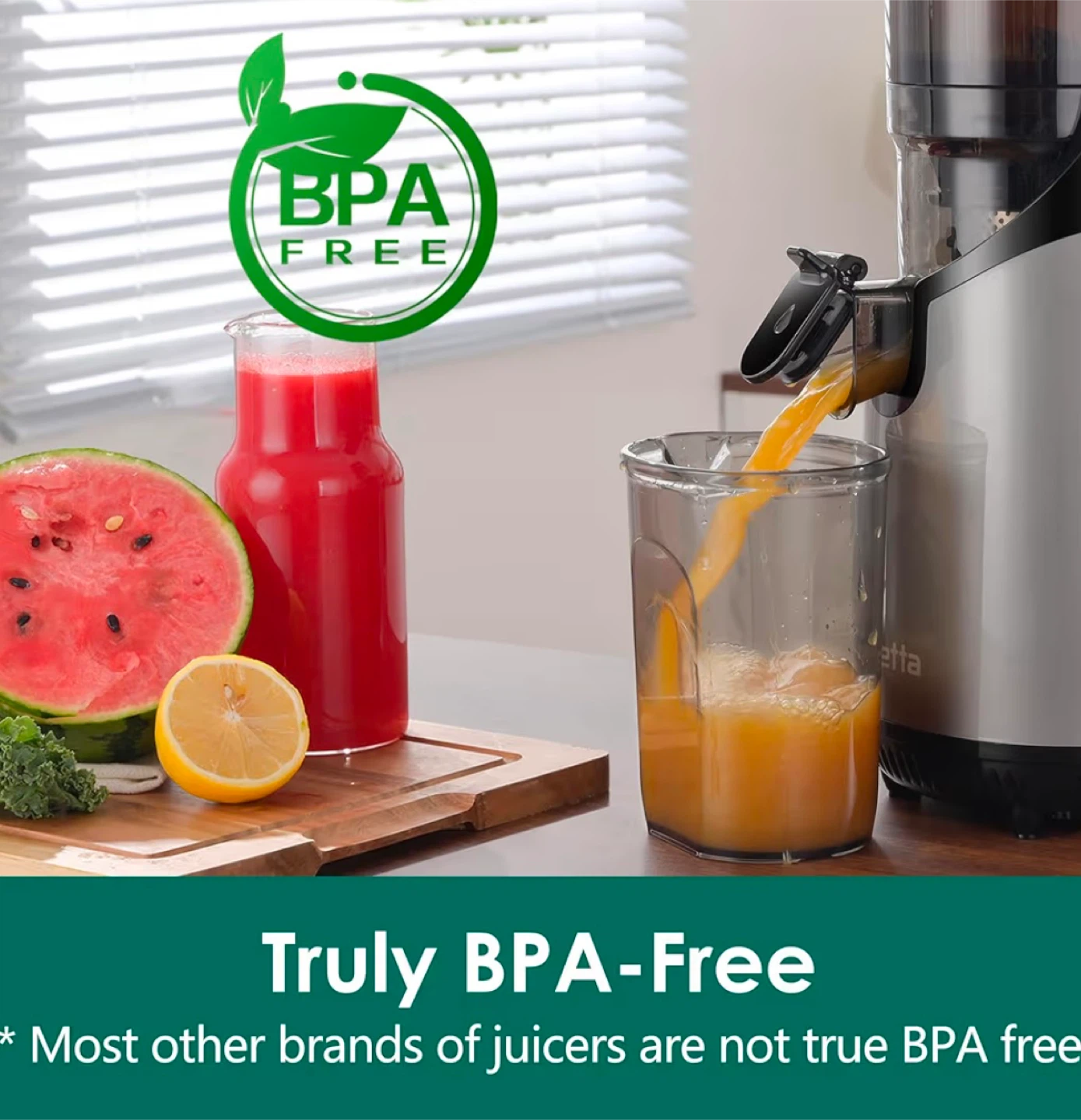 Fretta Masticating Juicer - photo 5