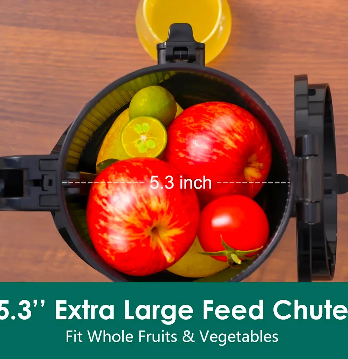 Fretta Masticating Juicer image indicator(3)