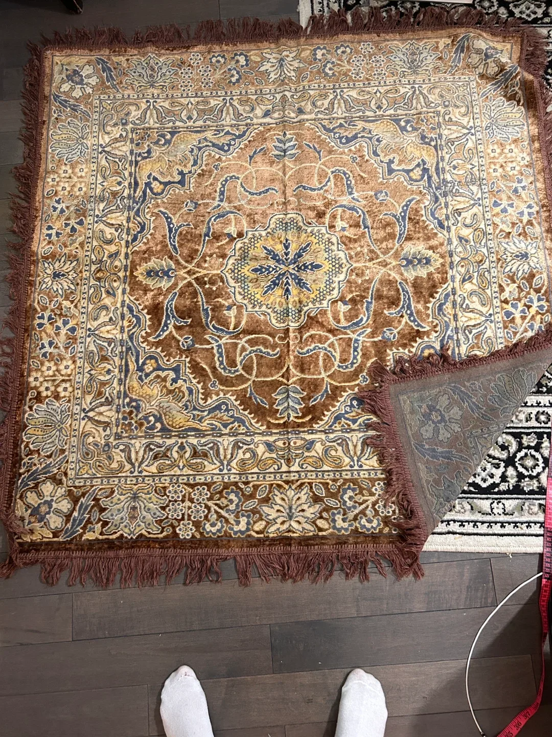 Brown Patterned Area rug image indicator(2)